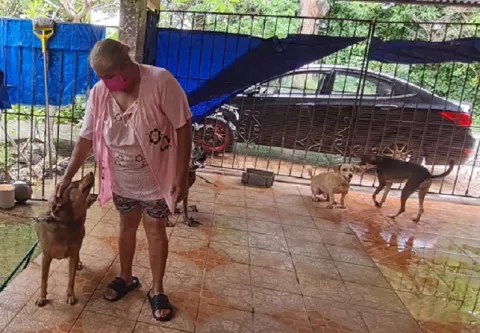 Familia herrerana convierte su hogar en un albergue para perros rescatados de las calles 