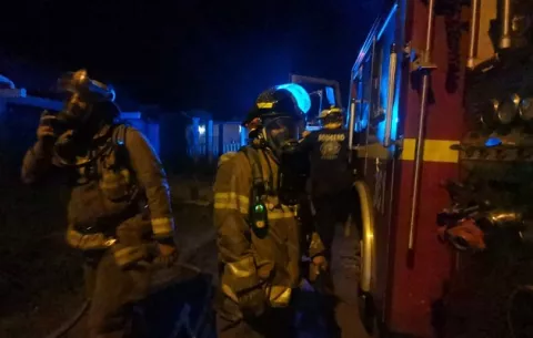 Bomberos atendieron 2,846 emergencias en abril; presencia de abejas africanizadas lidera  reportes