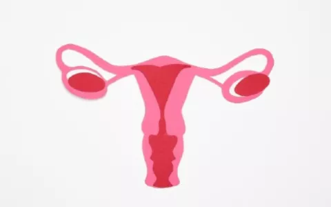 COV Panamá, una plataforma informativa sobre temas relacionados al cáncer de ovario