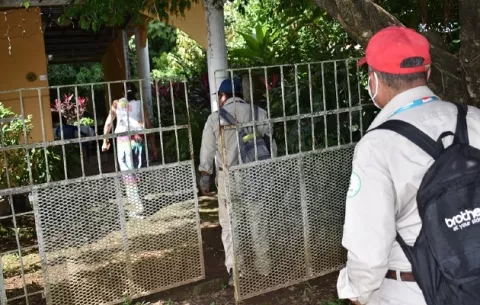 Minsa advierte del alto riesgo de dengue en el corregimiento de Puerto Armuelles, en Barú