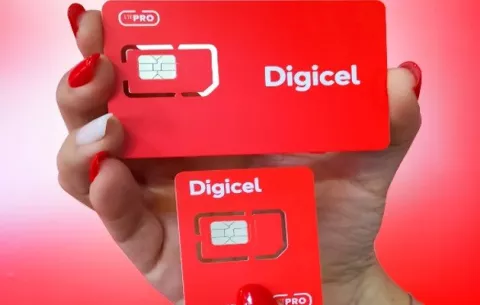 ¿Cuál es el papel del interventor de la empresa Digicel Panamá?