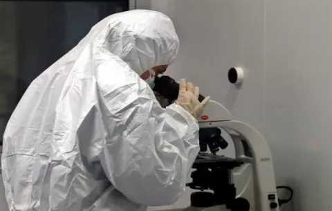 La OMS alerta de que la nueva hepatitis es un tema 'muy urgente'
