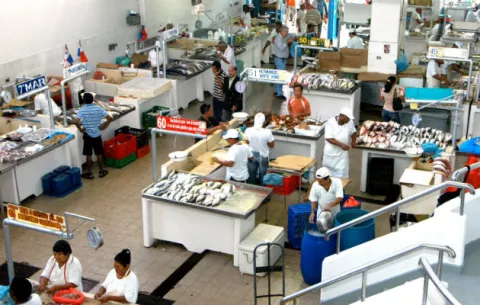 Consejo Municipal no pudo entregar pruebas sobre nuevo mercado de mariscos, solicitadas por juzgado