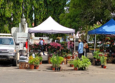 Se oponen a que el parque de Santiago de Veraguas sea usado como mercado público 