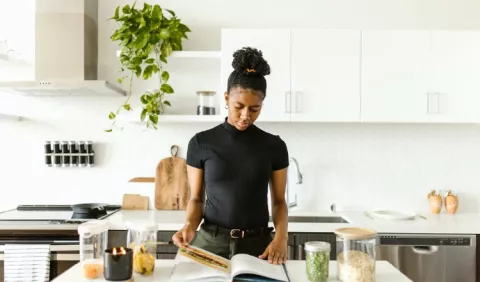 Plantas en casa: ¿Cuál es la temperatura adecuada para que crezcan?