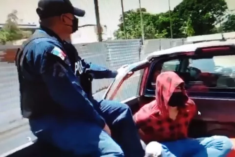 Joven que quemó a un gato recibe prohibición para salir de la provincia de Chiriquí 