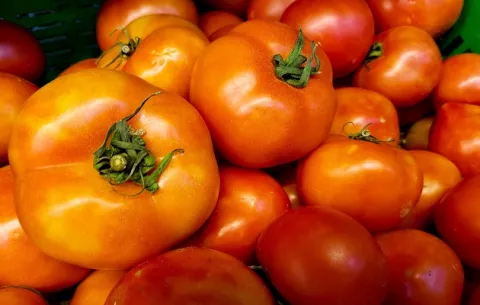 ¿Qué hay detrás de los tomates que ingresaron con altos niveles de plaguicida a Costa Rica?