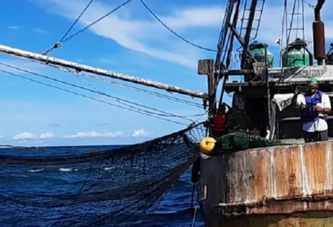 Detectan varias licencias y permisos de pesca presuntamente falsificados 