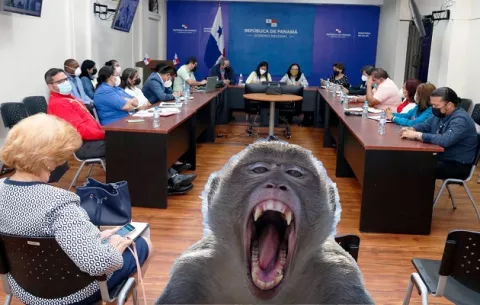 Minsa se prepara a nivel nacional para posible llegada de la viruela símica: ¿En qué países de América hay casos?
