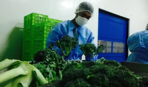 Cadena agroalimentaria tiembla por posible paro de transportistas de carga agrícola