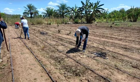 Preocupación aumenta por incremento en los  precios de los alimentos