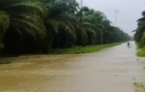 Intensas lluvias dejan afectaciones en el distrito de Barú, Chiriquí 