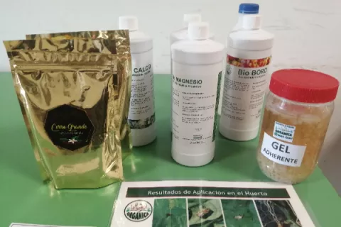 Hacia una caficultura resiliente e innovadora