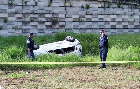 Encuentran más plantones de marihuana en casa de conductor accidentado 