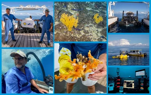 ¿Qué hallaron los investigadores en la inexplorada cordillera submarina de Coiba?