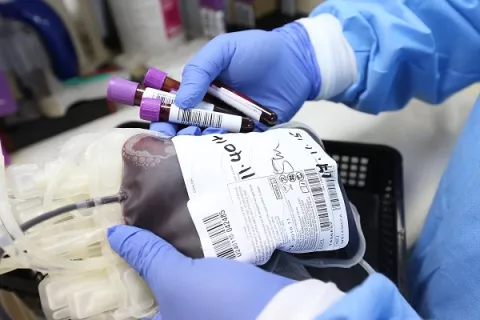 Donar sangre puede salvar hasta tres vidas
