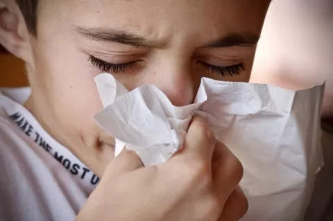 ¿Por qué se dice “salud” al estornudar? 