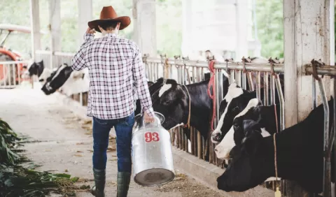 Aportes del sector lechero a los sistemas agroalimentarios