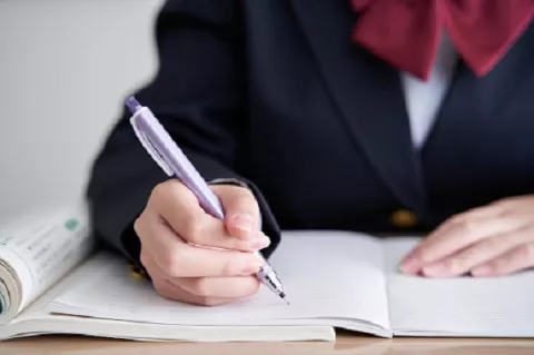 Asociación de Profesores: Libreta Digital podría provocar despidos en el sector educativo