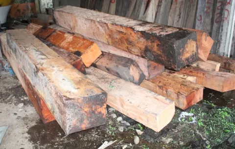 ¿Qué se hace con la madera ilegal decomisada en Panamá?