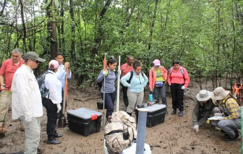 Realizan capacitación científica como plan de protección de los humedales  en la península Batipa