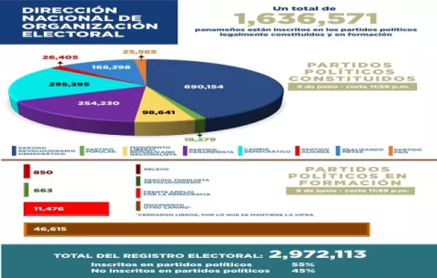 Elecciones primarias: 'Solo cuatro partidos políticos están obligados a realizarlas actualmente'