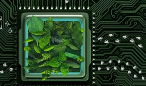 'Tokens' digitales para la biodiversidad