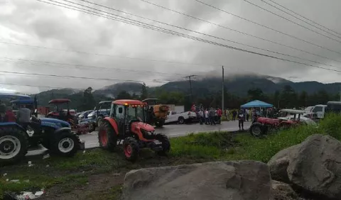 Transportistas de carga agrícola evitan el paso de legumbres
