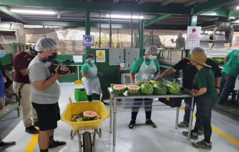 Agroexportaciones panameñas alcanzan los $120 millones en los cinco primeros meses del año