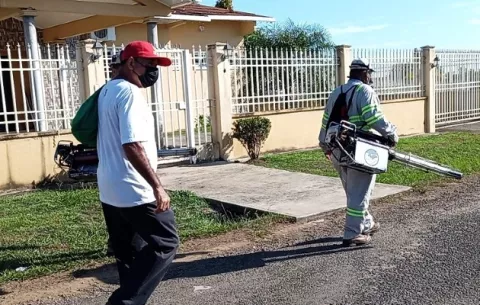 ¡Preocupante! Brotes de dengue en los distritos de Arraiján  y La Chorrera
