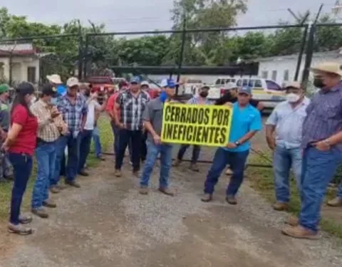 Productores de maíz de Los Santos protestan ante el ISA, entidad que tildan de 'ineficiente'