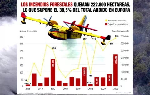 España se enfrenta a la peor ola de incendios desde el 2006 con afectaciones incalculable