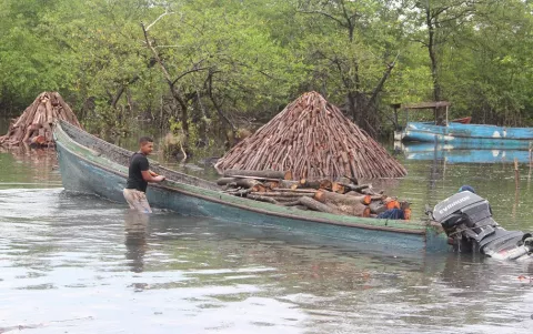 Carboneros de Espavé en Chame, protestan en la vía Interamericana 