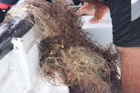Panamá y Canadá trabajan juntos en la reducción de redes fantasmas y basura marina