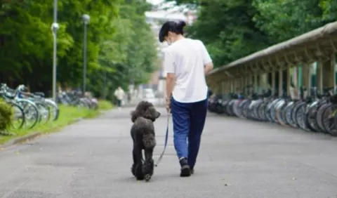 Perros 'lloran' de alegría al reunirse con sus dueños