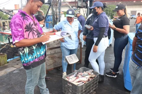  En operativo contra pesca ilegal, detectan no uso en redes del Dispositivo Excluidor de Tortuga (DET´s) 