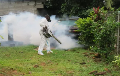 Realizan operativos para erradicar criaderos de mosquitos en Arraiján