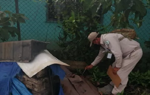 Minsa reporta el aumento de criaderos del mosquito Aedes Aegypti en varios sectores de Chiriquí