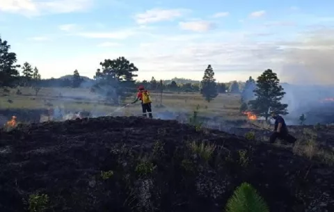 Disminuyen los incendios de masa vegetal en las áreas protegidas de Chiriquí 