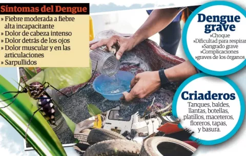Circulación simultánea de dos serotipos de dengue aumenta el riesgo de casos graves en Panamá
