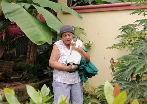 ¡Miau! Bomberos rescatan gata de lo alto de un poste eléctrico en El Jobo de Guararé