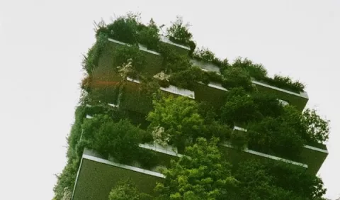 Beneficios de los jardines verticales