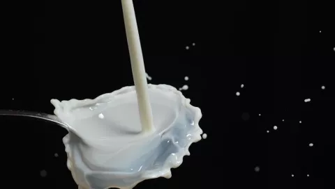 Alergia a la proteína de la leche: ¿Qué debe saber? 