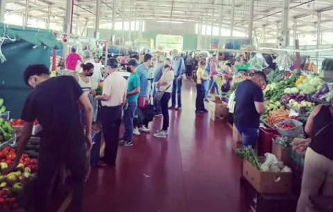 ¿Cómo se distribuyen los espacios en Merca Panamá y cuánto generan en arrendamiento?