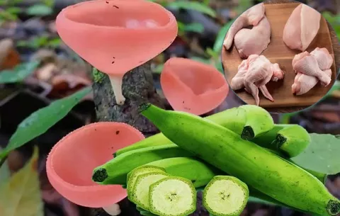 ¿Cómo ha evolucionado la dieta del pueblo Ngäbe-Buglé?