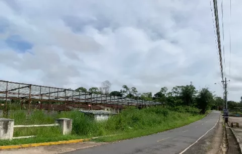 Multan a diez empresas en Arraiján  por mantener sus propiedades con herbazales