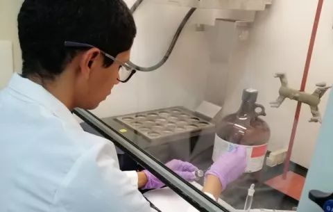 Niveles de micotoxinas encontrados en el arroz panameño no deben causar preocupación