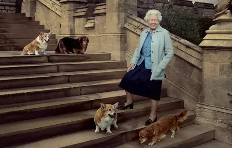 Expectativa por el destino de los corgis de lsabel II: ¿Qué pasará con los perros reales?