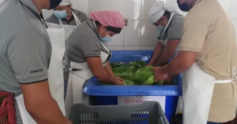 Sector minero busca crear una cadena de valor con proveedores
