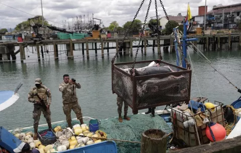 Sorprenden a embarcación colombiana pescando en la cordillera de Coiba